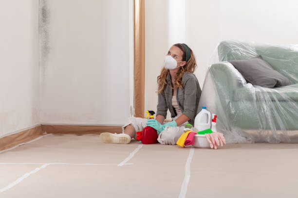 Reliable Black Mold Removal contractor in Franklin Park, NJ by WQB Mold Removal